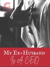 Novel My Ex-Husband Is A CEO by VTH