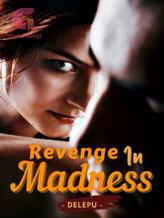 Novel Revenge in Madness by DELEPU