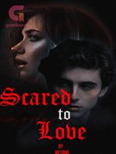 Novel SCARED TO LOVE by Meixing