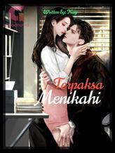 Novel Terpaksa Menikahi by Kay