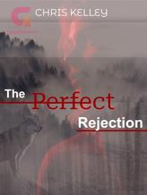 Novel The Perfect Rejection by Chris Kelley