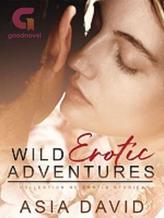 Novel The Wild Adventures by Asia David