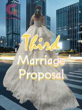 Novel Third Marriage Proposal by Bella Wang