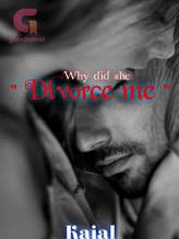 Novel Why did she ” Divorce Me ” by Kajal