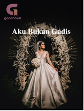 Novel Aku Bukan Gadis by Dewi Astarina Sirait