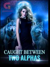 Novel Caught between two alphas by Divah Dave