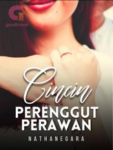 Novel Cincin Perenggut Perawan by Nathanegara