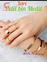 Novel Istri Pelit Bin Medit by Wella Andriana