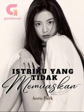 Novel Istriku yang Tidak Memuaskan by Aeris Park