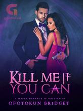 Novel Kill Me If You Can by Bridget