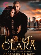 Novel Looking For Clara by Bridget