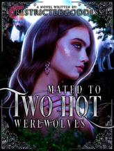 Novel Mated To Two Hot Werewolves by RestrictedGoddess