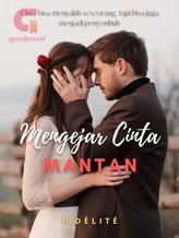 Novel Mengejar Cinta Mantan by FIDÉLITÉ