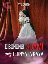 Novel Dibohongi Suami yang Ternyata Kaya by Ayu Kristin