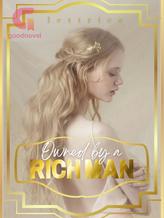 Novel Owned by a Rich Man by Lettrice