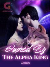 Novel Owned by the Alpha King by Ariel Liza