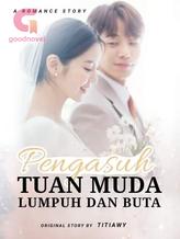 Novel Pengasuh tuan muda lumpuh dan buta by Titi Awy