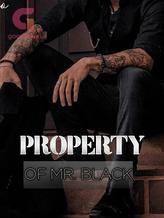 Novel Property of Mr. Black by Nuella Ogwu