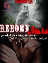 Novel Reborn Mate: Book #1 in the Mate Series by Imaginary Writer