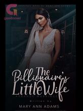 Novel The Billionaire’s Little Wife by Mary Ann Adams