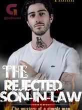 Novel The rejected Son-in-law by Hunni