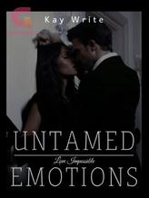 Novel Untamed Emotions by Kay write