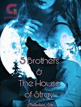 Novel 5 Brothers & The House of Stray by Natashia_Lou