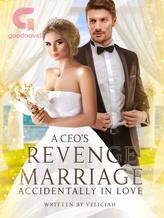 Novel A CEO’s Revenge Marriage — Accidentally In Love by Veliciah