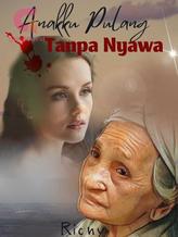 Novel Anakku Pulang Tanpa Nyawa by Ricny