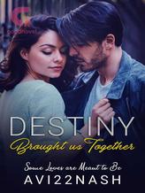 Novel Destiny Brought Us Together by Avi22Nash