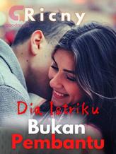 Novel Dia Istriku Bukan Pembantu by Ricny