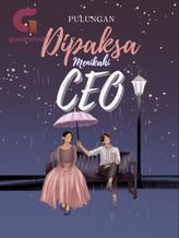 Novel Dipaksa Menikahi CEO by Pulungan