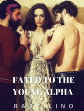 Novel FATED TO THE YOUNG ALPHA by Razilino