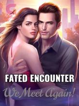 Novel Fated Encounter: We Meet Again by Zuzu_1