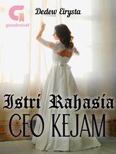 Novel Istri Rahasia CEO Kejam by Dedew Eirysta