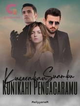 Novel Kuceraikan Suamiku, Kunikahi Pengacaramu by MeilyyanaM