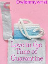 Novel Love in the Time of Quarantine by owlonmywrist