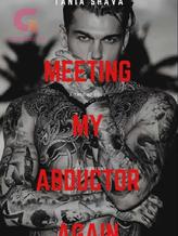 Novel Meeting My Abductor Again by Tania Shava