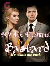 Novel My Ex husband is a bastard (He wants me back) by Night Walker