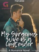 Novel My Gorgeous Wife is a Contender by Hanalee