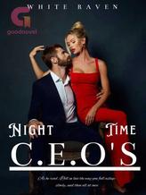 Novel Night Time CEO by Author presh