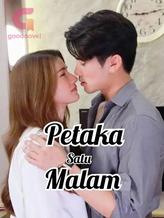 Novel Petaka Satu Malam by FitriElmu