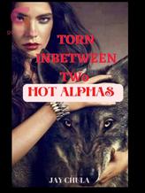 TORN IN-BETWEEN TWO HOT ALPHAS