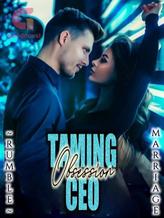 Novel Taming Obsession CEO by R U M B L E