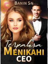 Novel Terpaksa Menikahi CEO by Banin SN