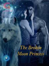 Novel The Broken Moon Princess by Ilancka