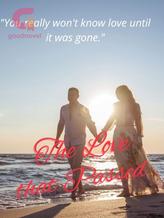 Novel The Love That Passed by R.Y.E.