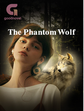 Novel The Phantom Wolf by Aderet