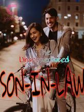 Novel The Unappreciated Son-In-Law by Maddy