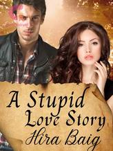 Novel A Stupid Love Story by Hira Baig